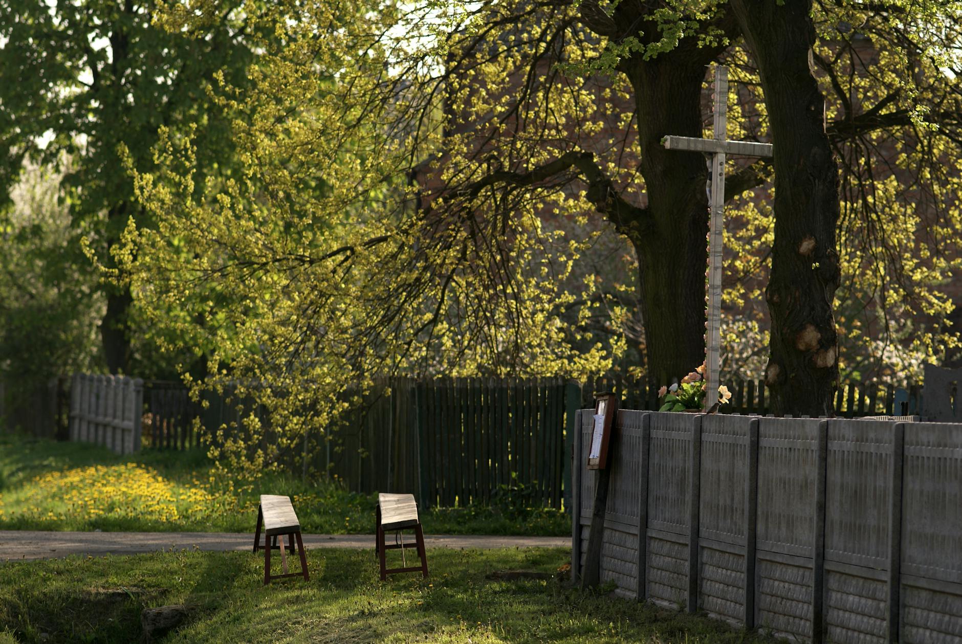 Iwona Pavlović podczas wizyty w Gnieźnie w maju - wydarzenie kulturalne i sportowe w mieście